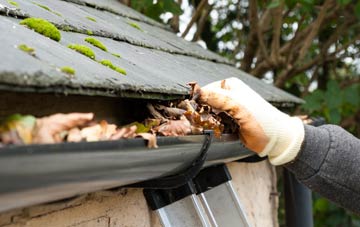 gutter cleaning Northam