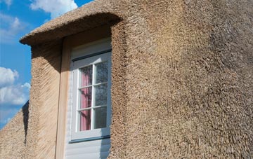 Northam thatch roof disadvantages