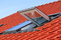 Northam roof window